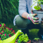 gardener