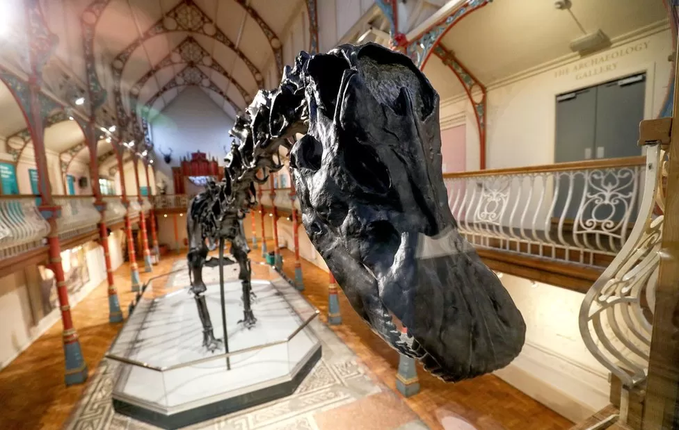 Indians at UK - Patagotitan