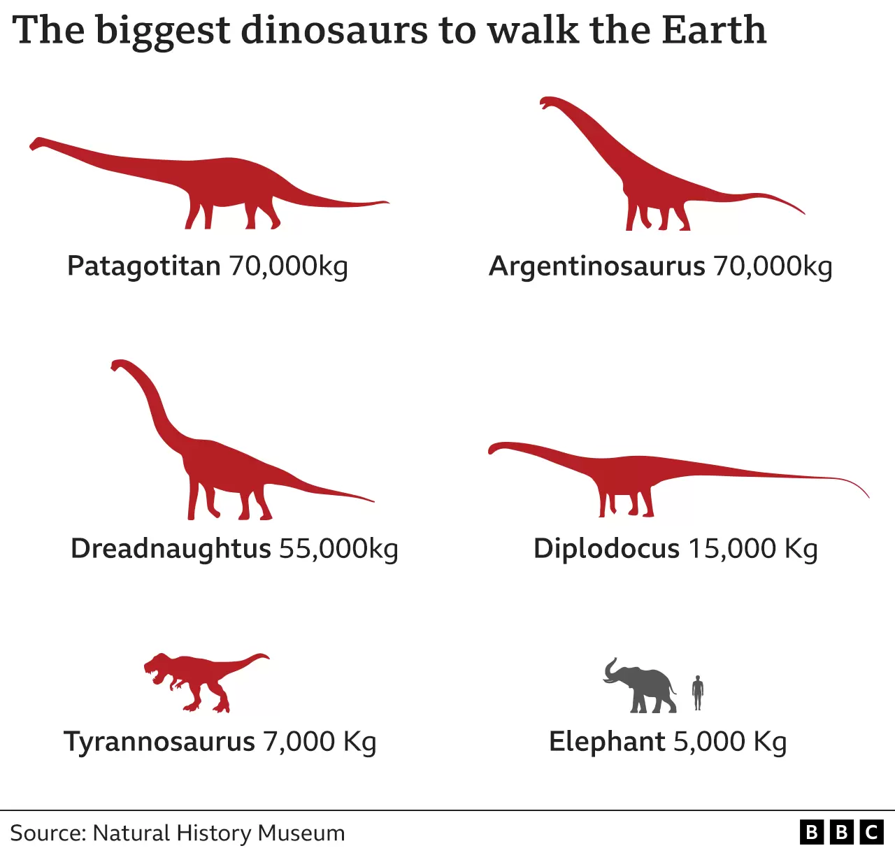 Indians at UK - Patagotitan