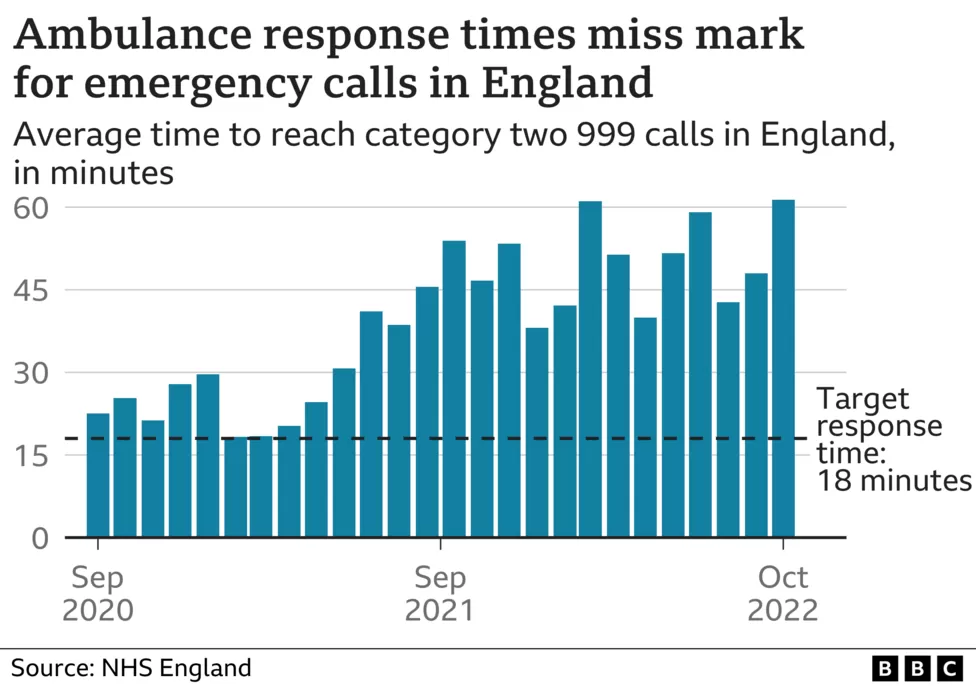 Indians at UK - NHS Delays