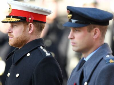 Indians at UK - Prince Harry
