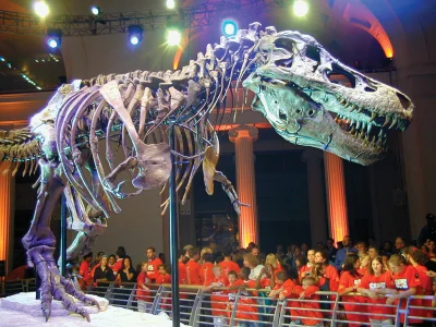 Indians at UK - Gigantic Dinosaur Skeleton